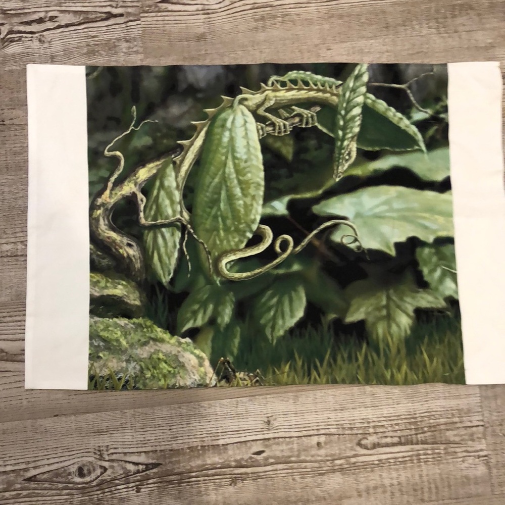 Dungeon and Dragons Game Green Insect Standard Pillowcase Bedding